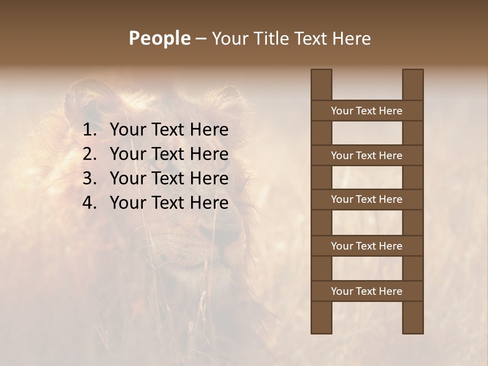 Hair Africa Wild PowerPoint Template