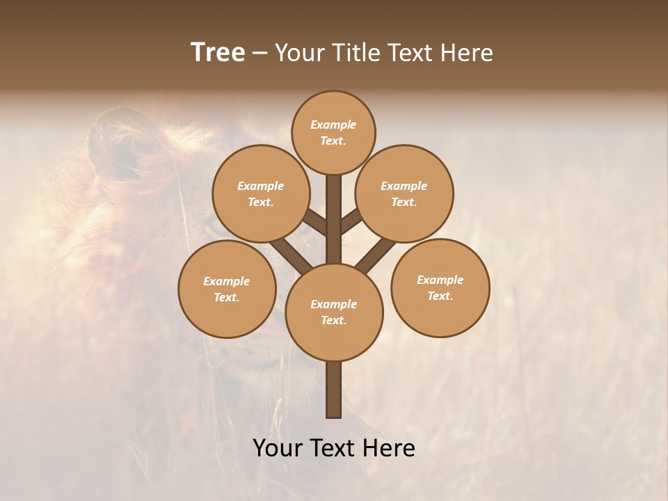 Hair Africa Wild PowerPoint Template