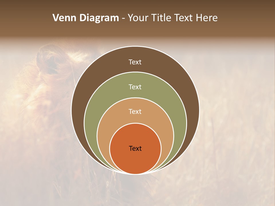 Hair Africa Wild PowerPoint Template