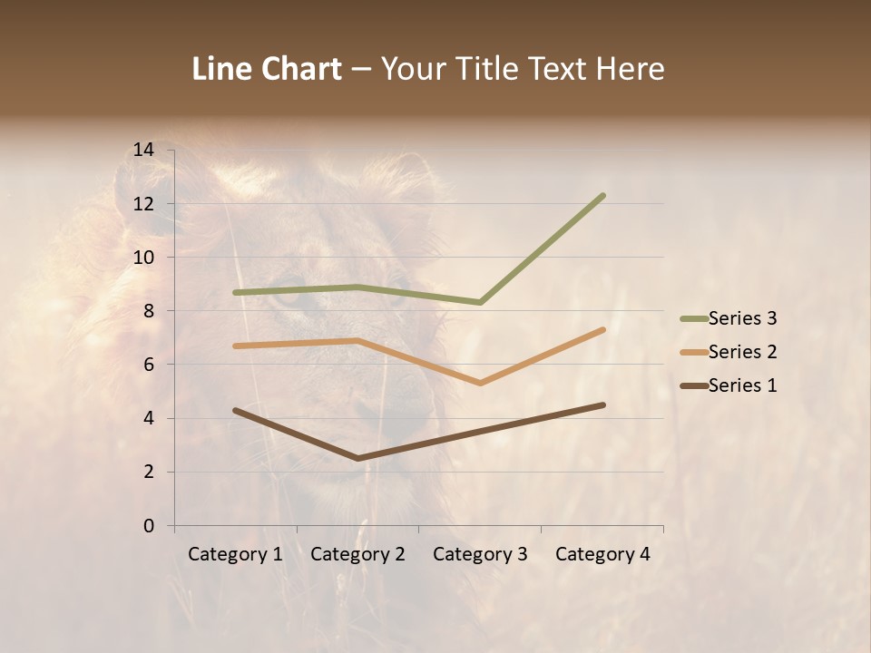 Hair Africa Wild PowerPoint Template