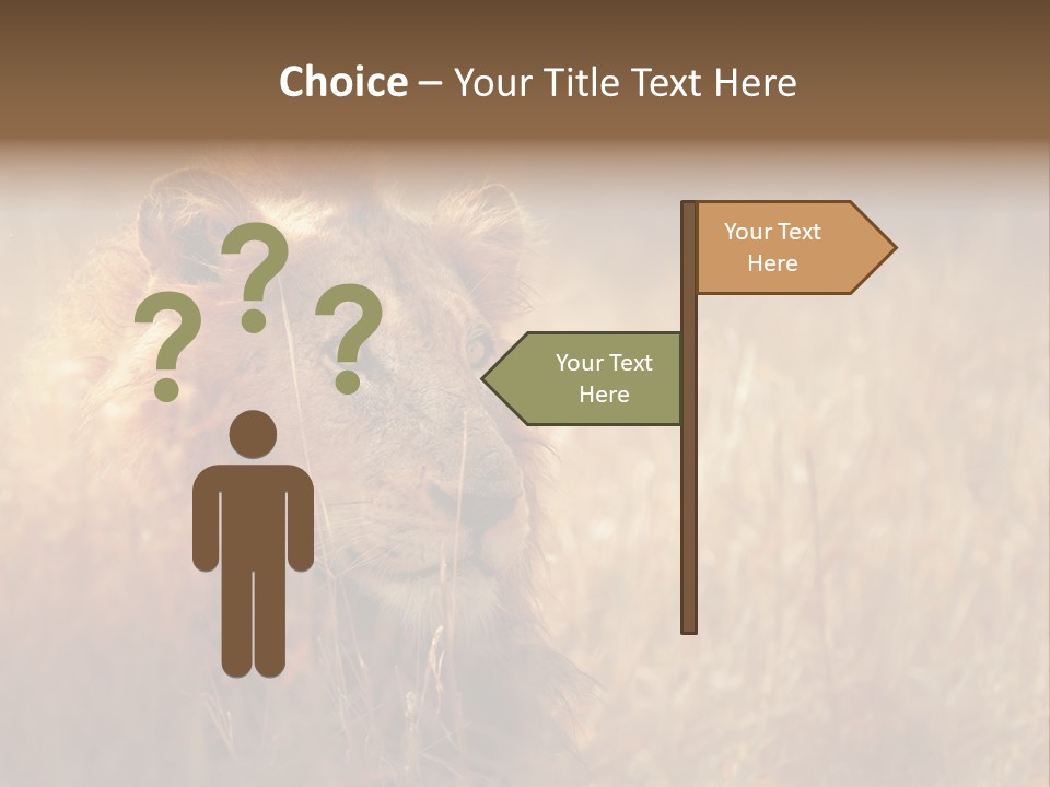 Hair Africa Wild PowerPoint Template