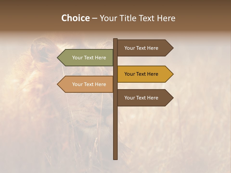 Hair Africa Wild PowerPoint Template