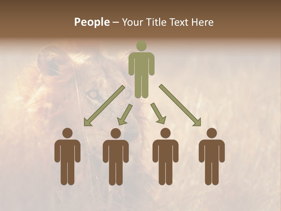 Hair Africa Wild PowerPoint Template