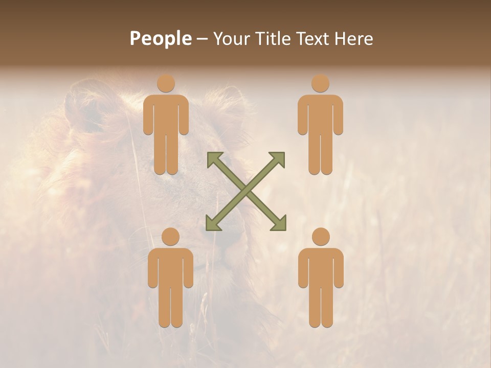 Hair Africa Wild PowerPoint Template