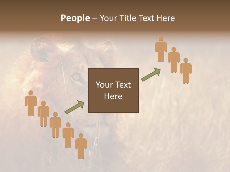 Hair Africa Wild PowerPoint Template