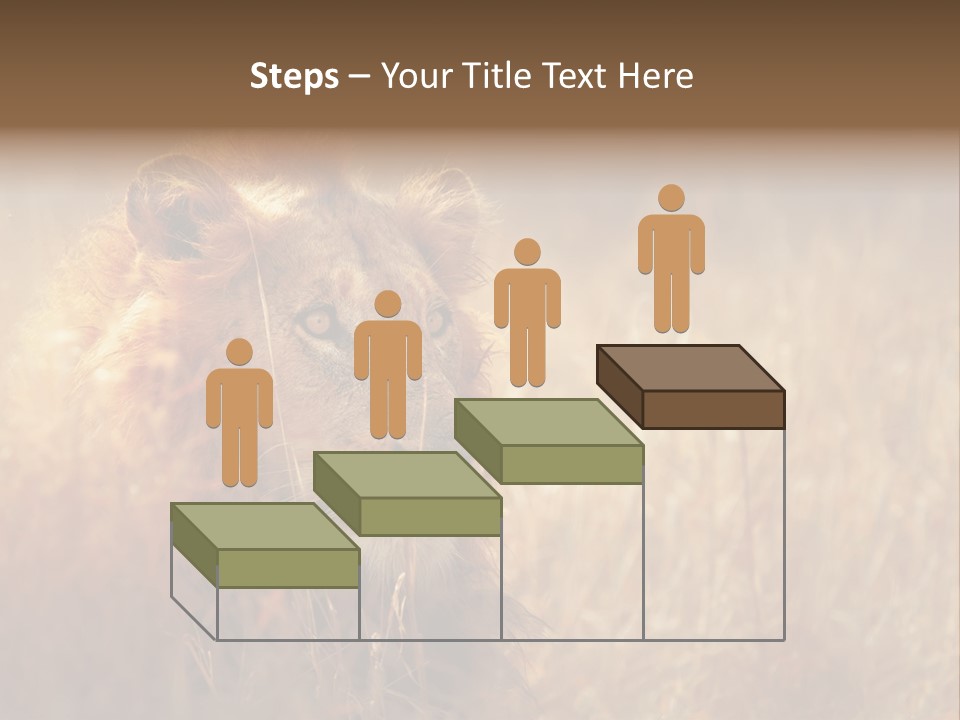 Hair Africa Wild PowerPoint Template