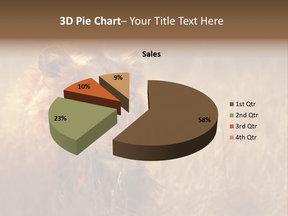 Hair Africa Wild PowerPoint Template