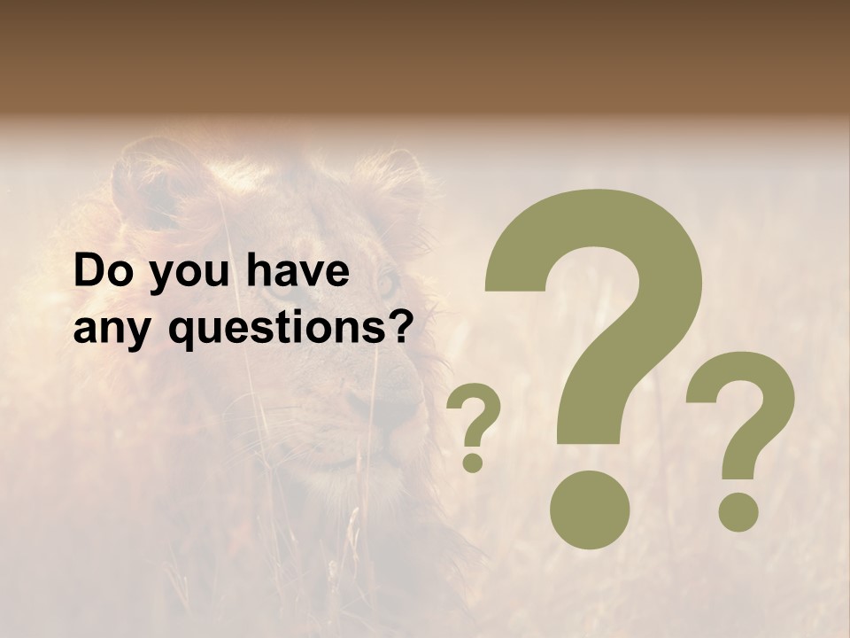 Hair Africa Wild PowerPoint Template