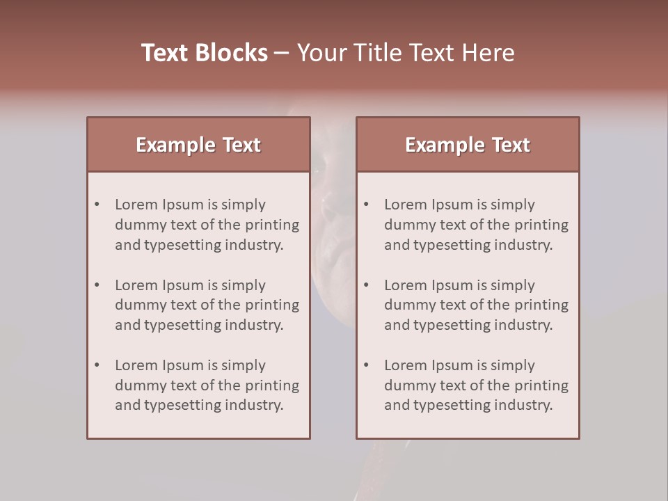 Editorial Horizontal Celebrity PowerPoint Template