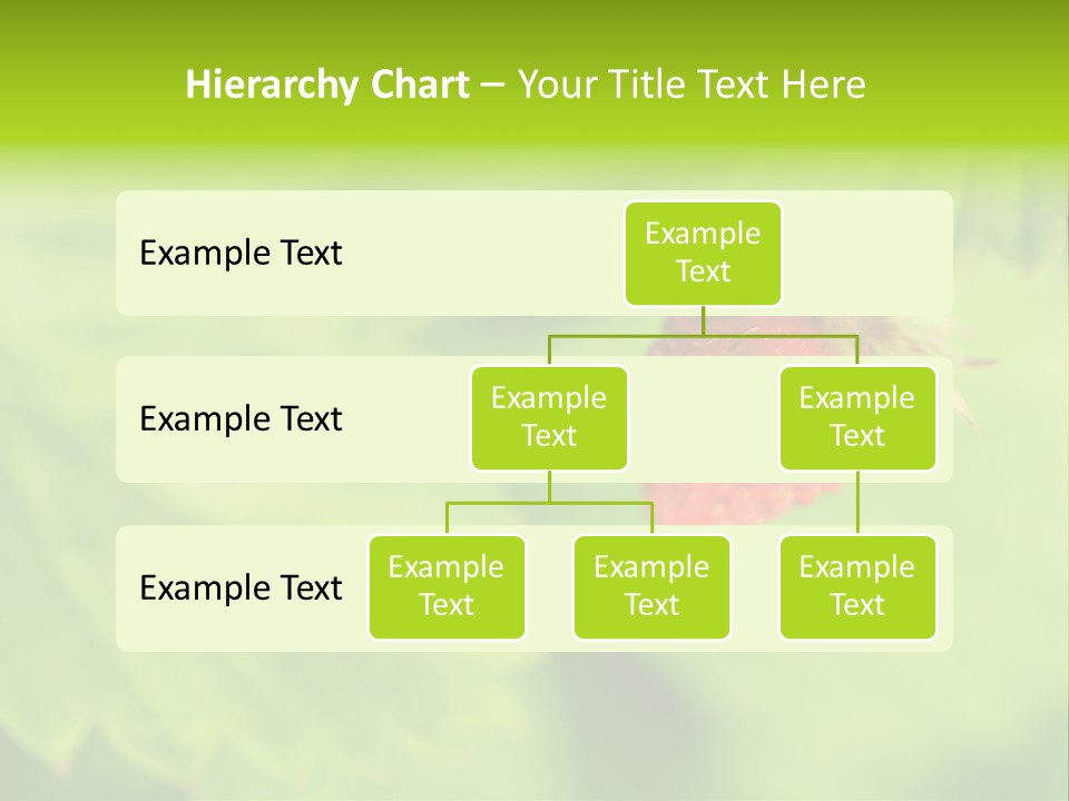Health Tasty Shine PowerPoint Template
