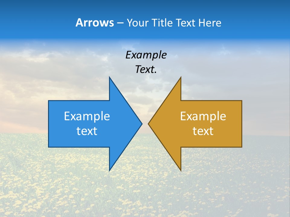 Weather Plant Dandelions PowerPoint Template