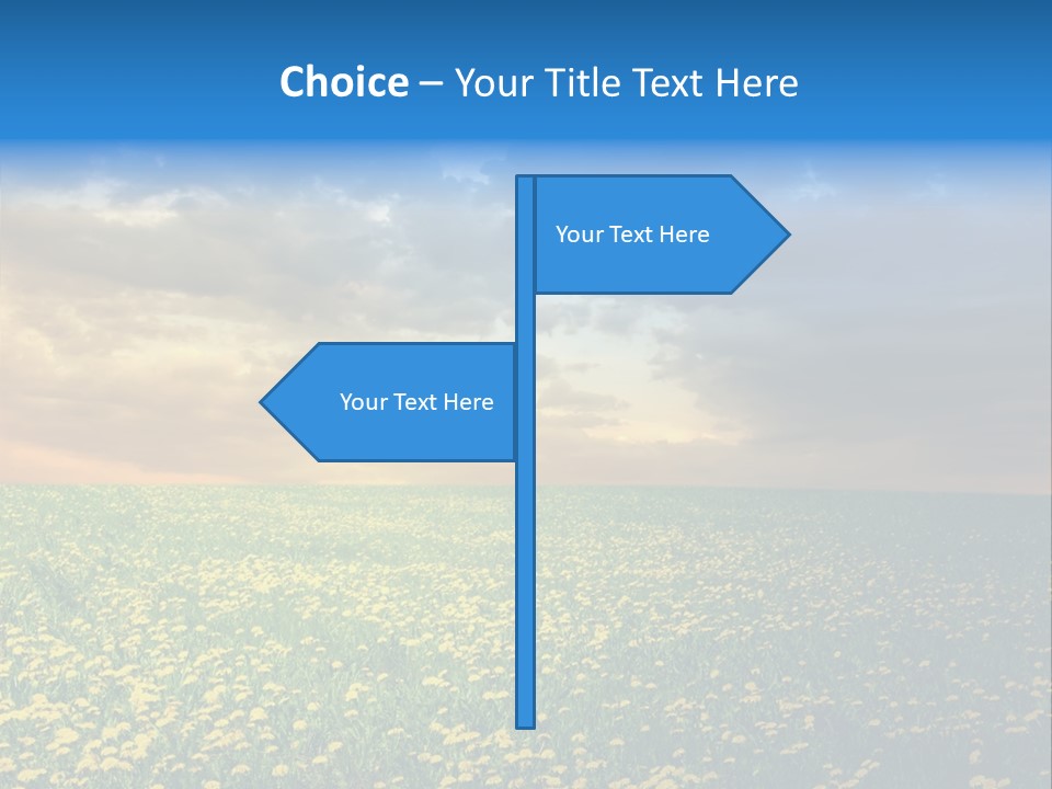 Weather Plant Dandelions PowerPoint Template
