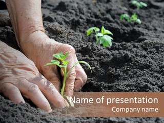 Skin Beginnings Nature PowerPoint Template