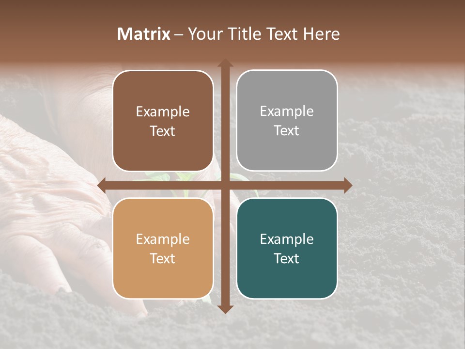 Skin Beginnings Nature PowerPoint Template
