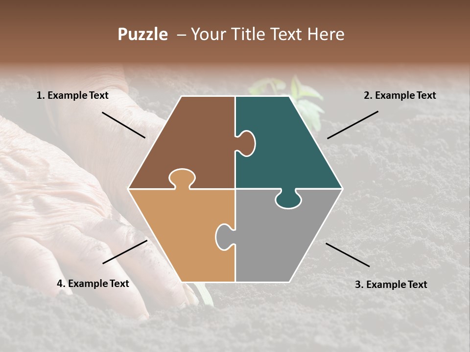 Skin Beginnings Nature PowerPoint Template