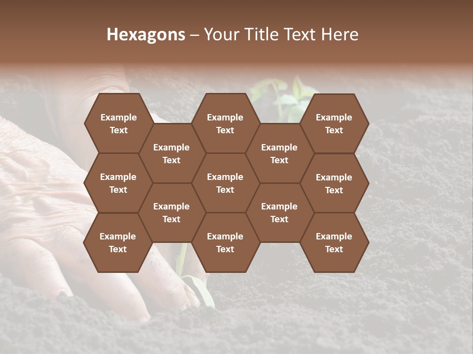 Skin Beginnings Nature PowerPoint Template