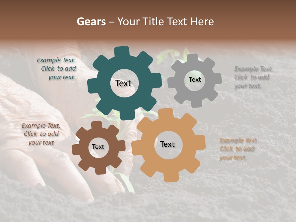 Skin Beginnings Nature PowerPoint Template