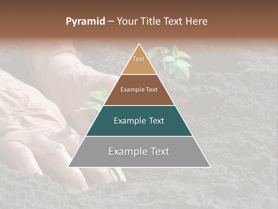 Skin Beginnings Nature PowerPoint Template