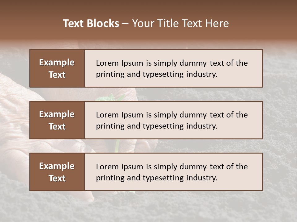Skin Beginnings Nature PowerPoint Template