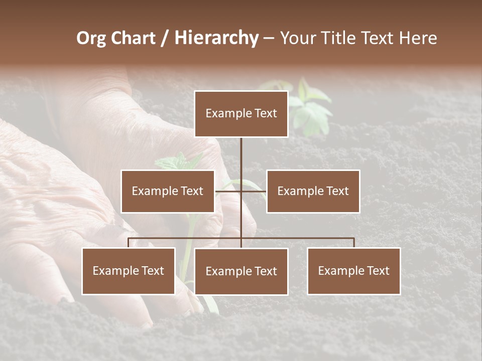 Skin Beginnings Nature PowerPoint Template