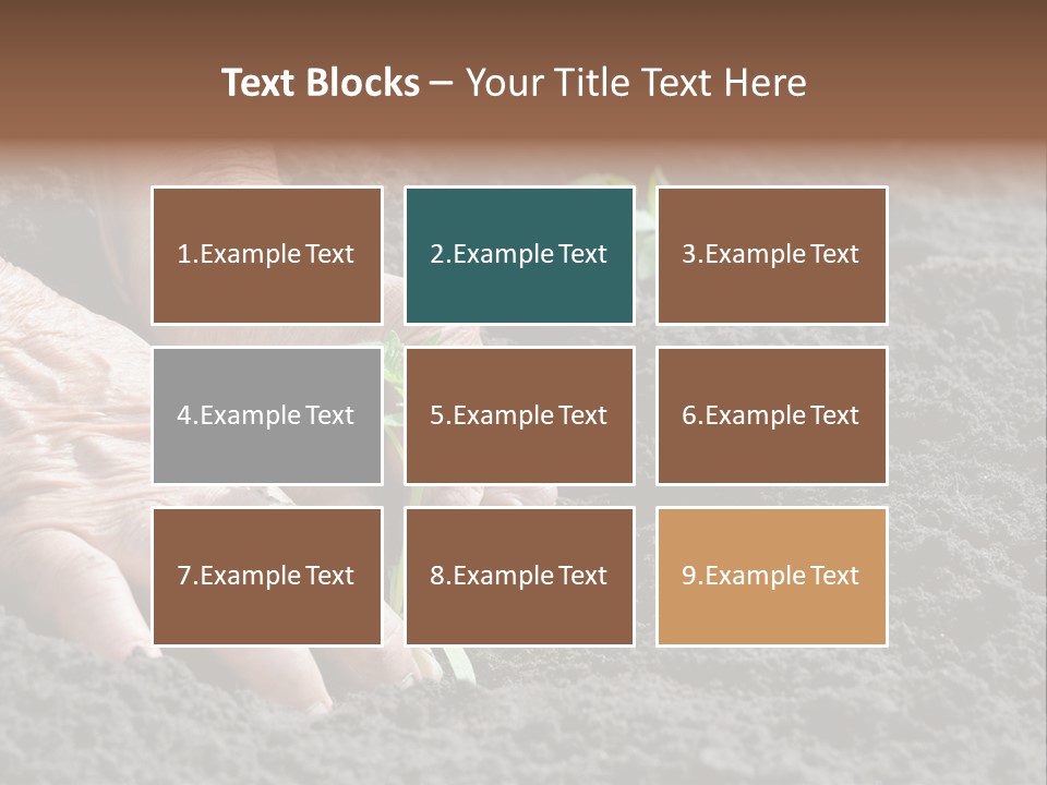 Skin Beginnings Nature PowerPoint Template