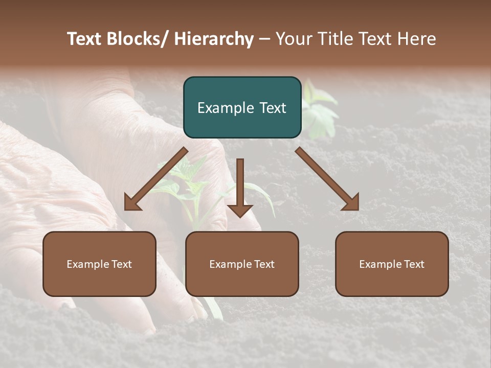 Skin Beginnings Nature PowerPoint Template