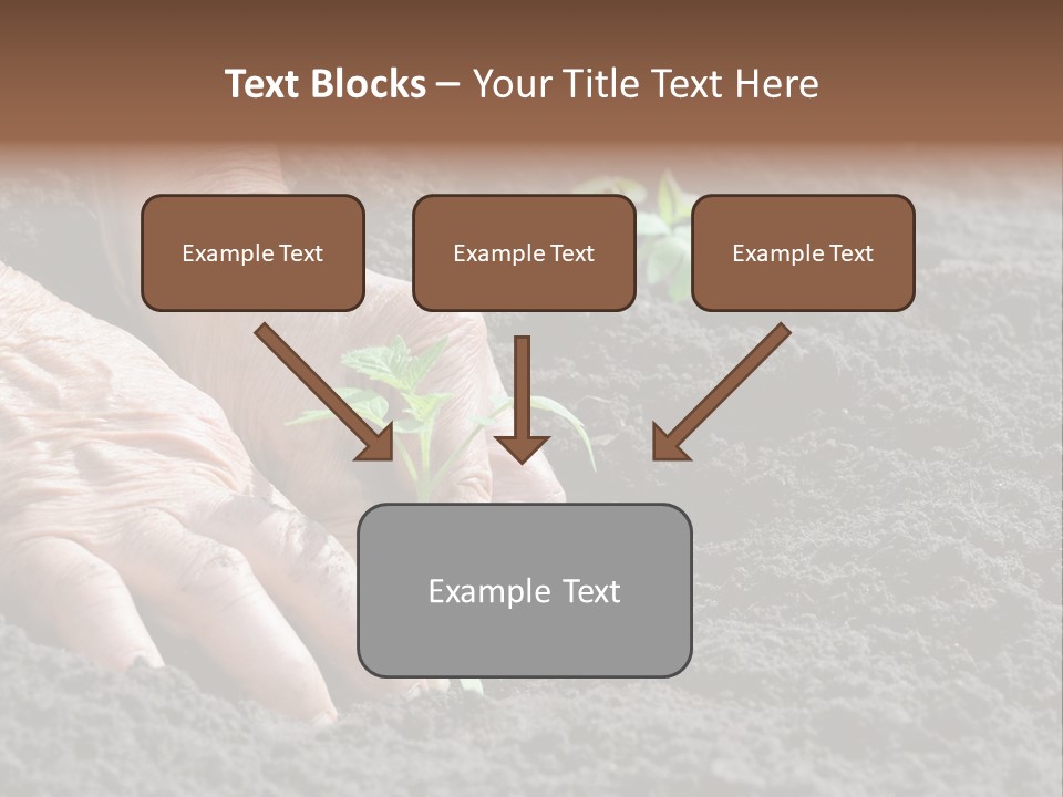 Skin Beginnings Nature PowerPoint Template