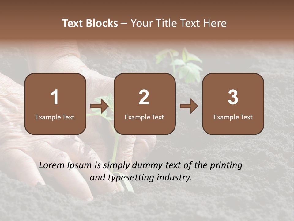 Skin Beginnings Nature PowerPoint Template