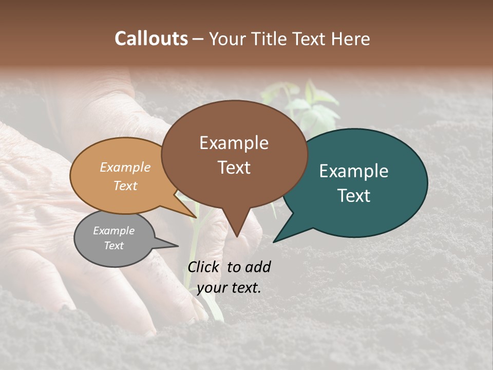 Skin Beginnings Nature PowerPoint Template