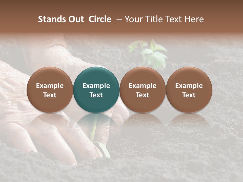 Skin Beginnings Nature PowerPoint Template