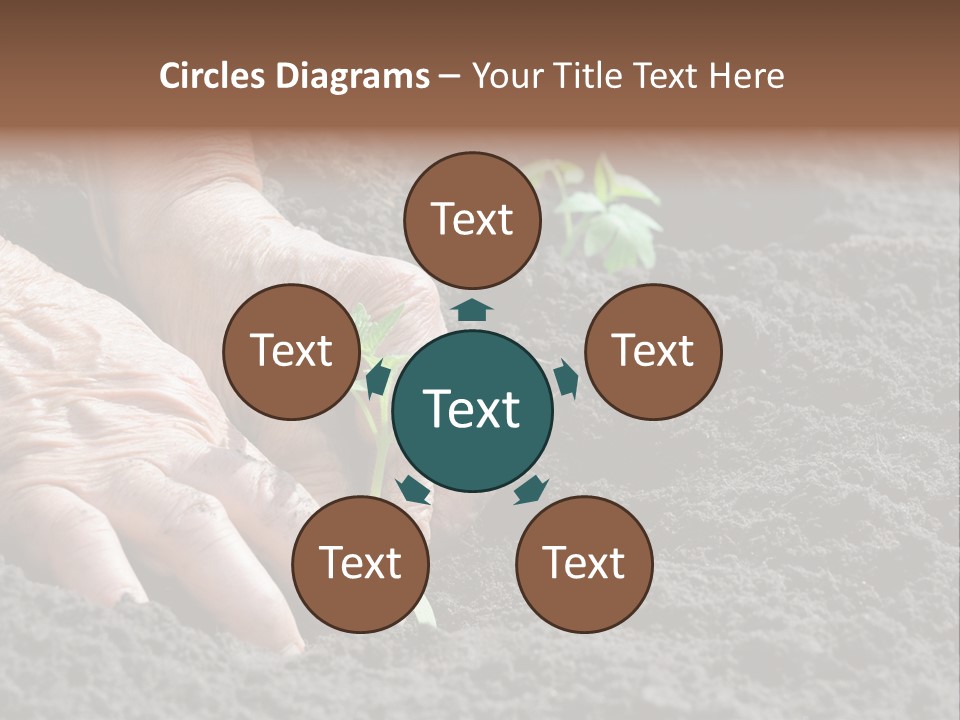 Skin Beginnings Nature PowerPoint Template