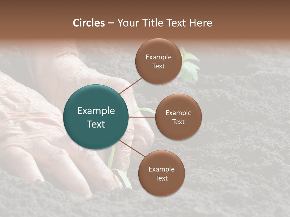 Skin Beginnings Nature PowerPoint Template