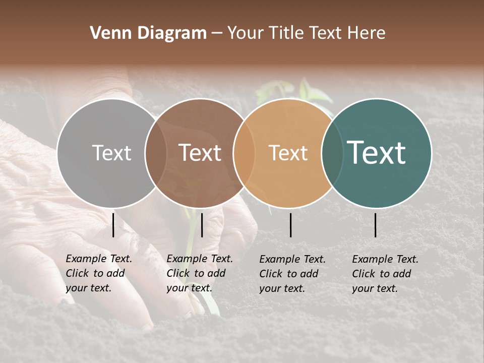 Skin Beginnings Nature PowerPoint Template