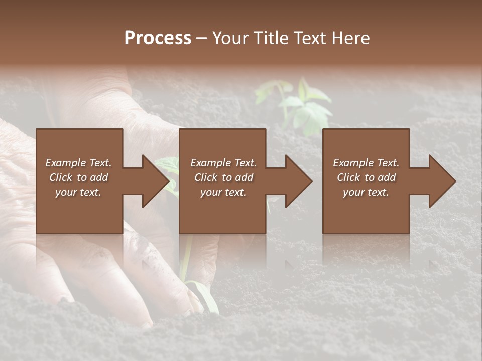 Skin Beginnings Nature PowerPoint Template