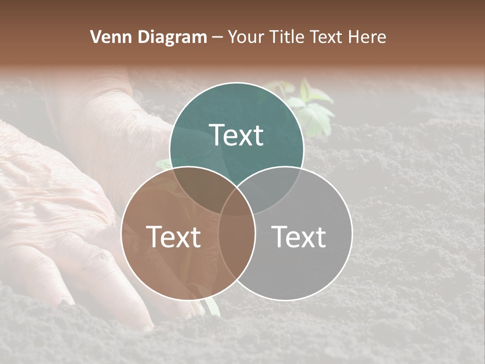 Skin Beginnings Nature PowerPoint Template