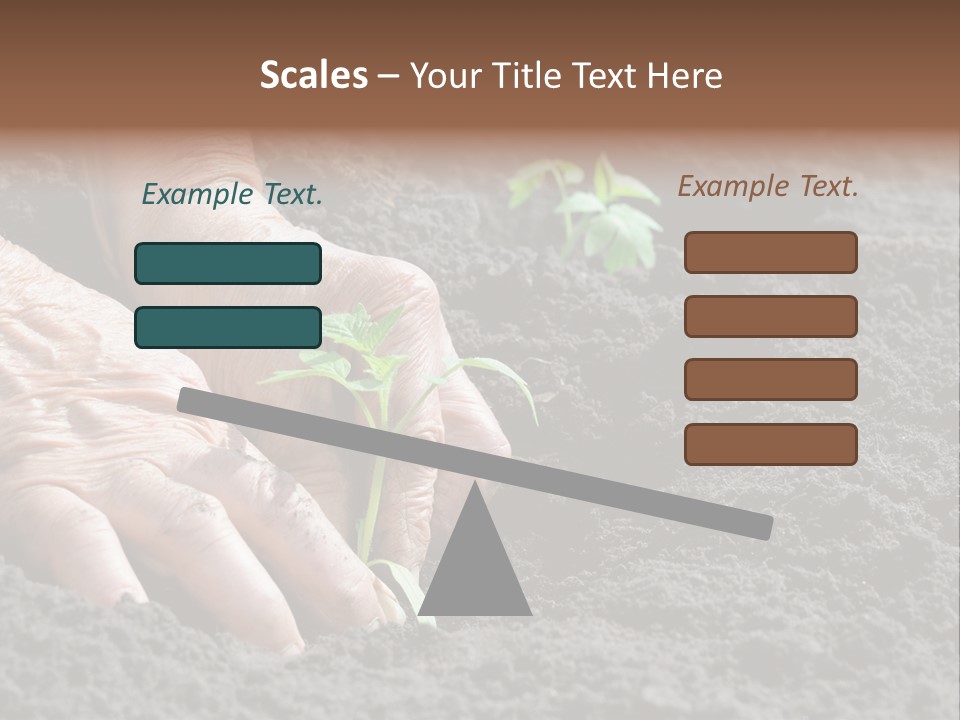 Skin Beginnings Nature PowerPoint Template