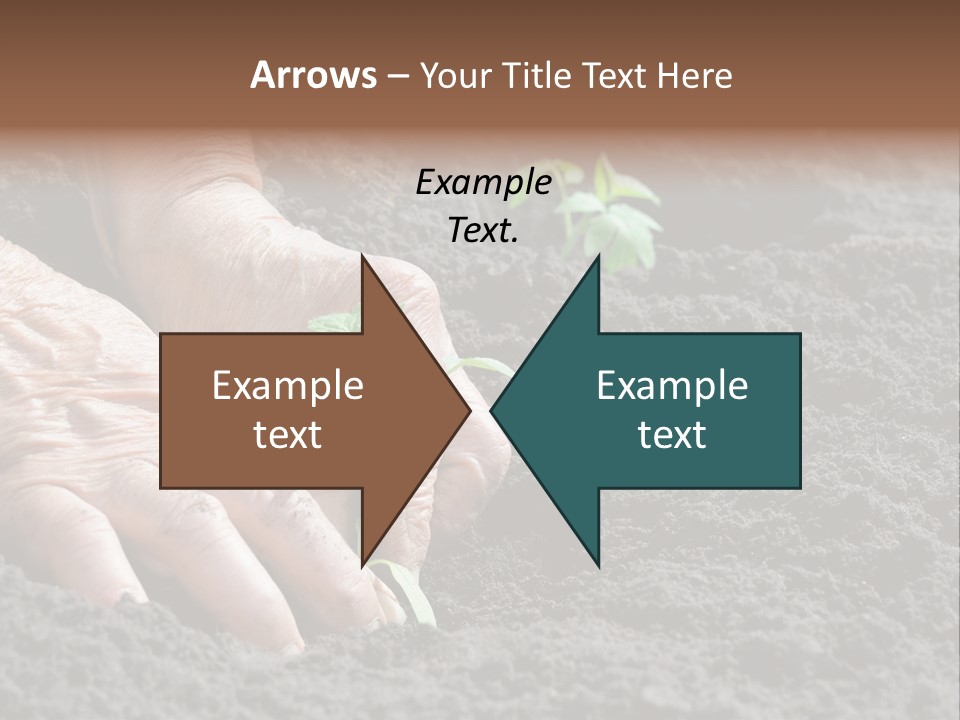 Skin Beginnings Nature PowerPoint Template