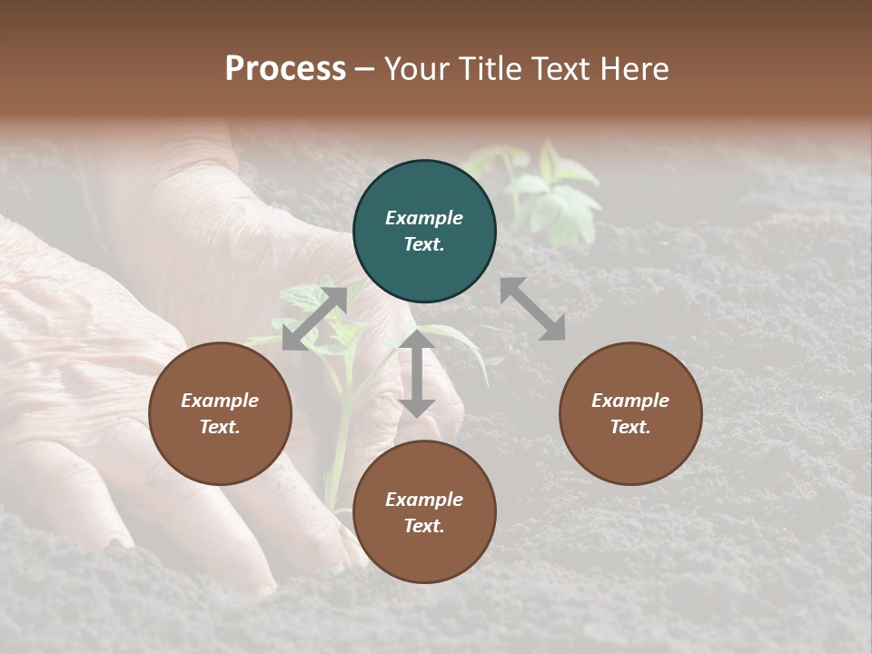 Skin Beginnings Nature PowerPoint Template
