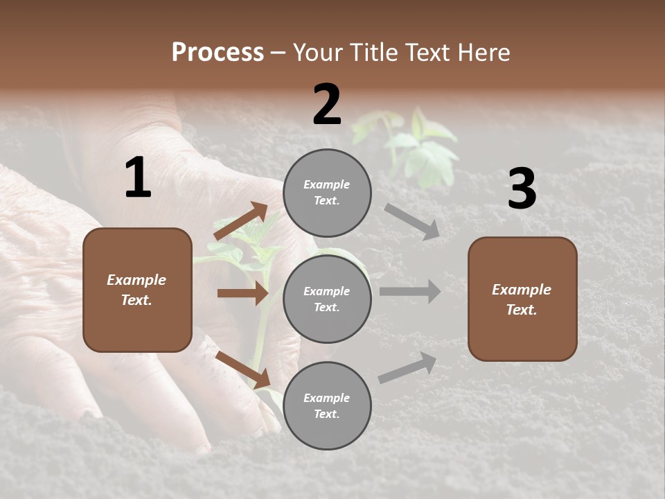 Skin Beginnings Nature PowerPoint Template