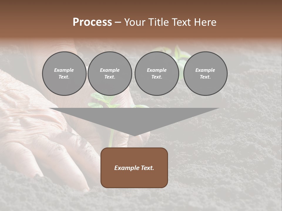 Skin Beginnings Nature PowerPoint Template