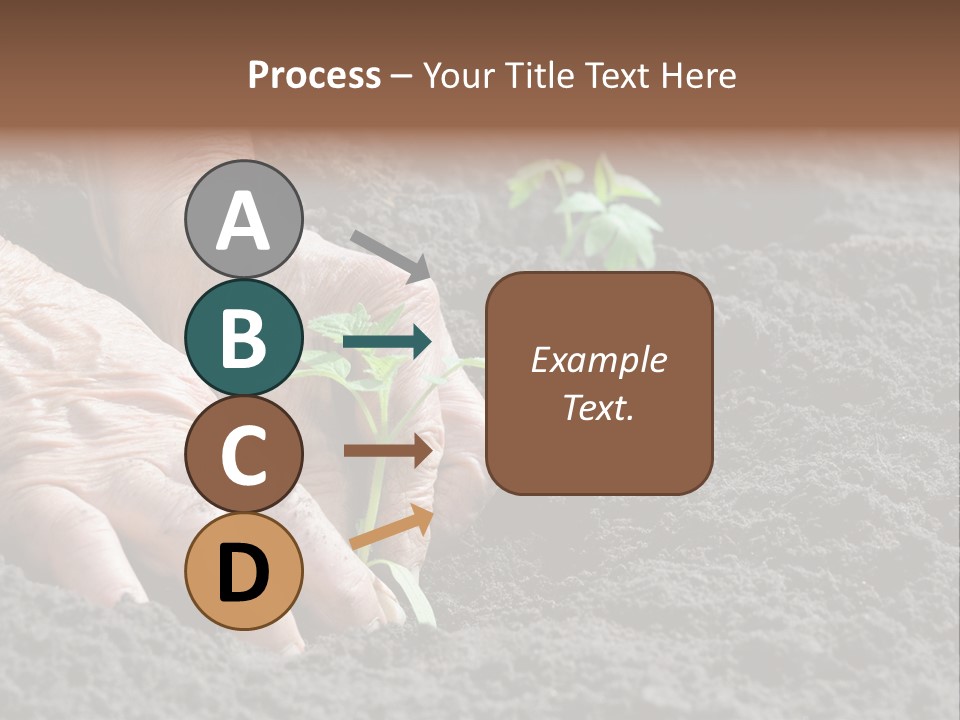 Skin Beginnings Nature PowerPoint Template