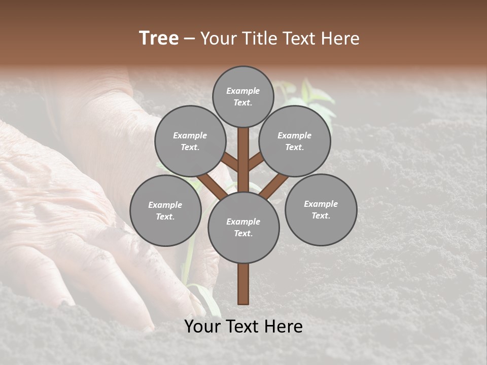 Skin Beginnings Nature PowerPoint Template