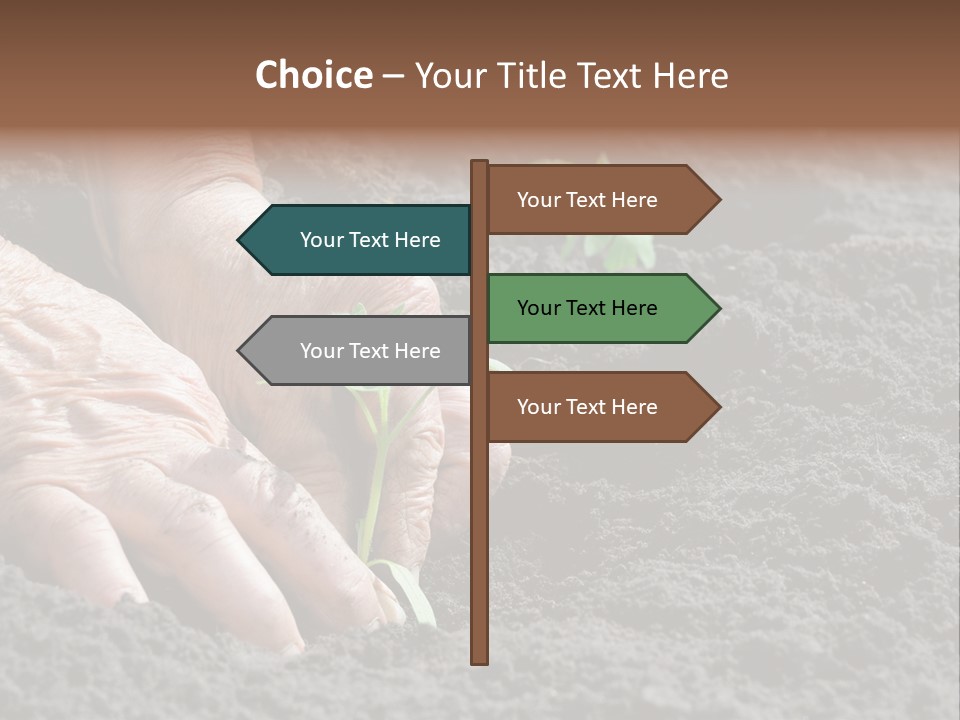 Skin Beginnings Nature PowerPoint Template