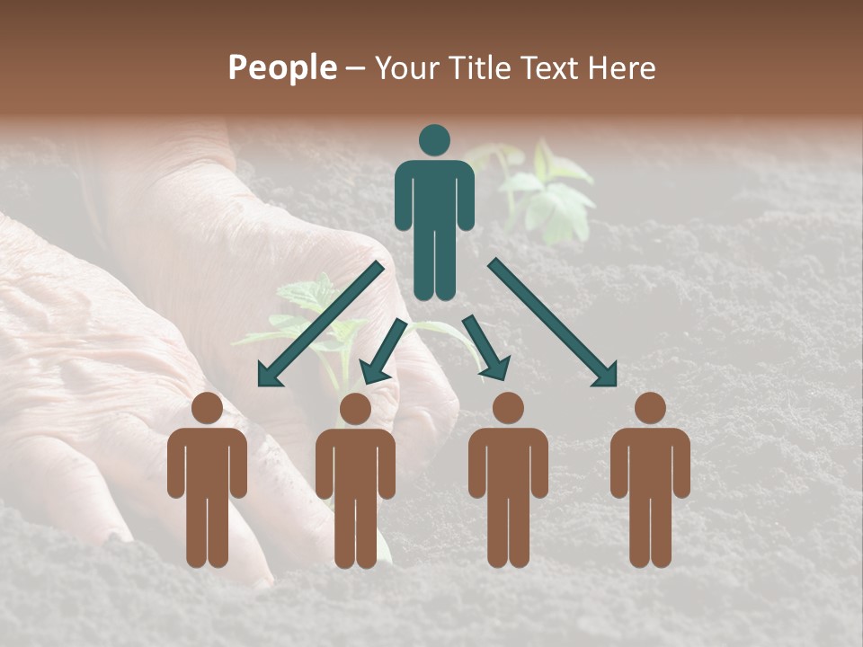 Skin Beginnings Nature PowerPoint Template