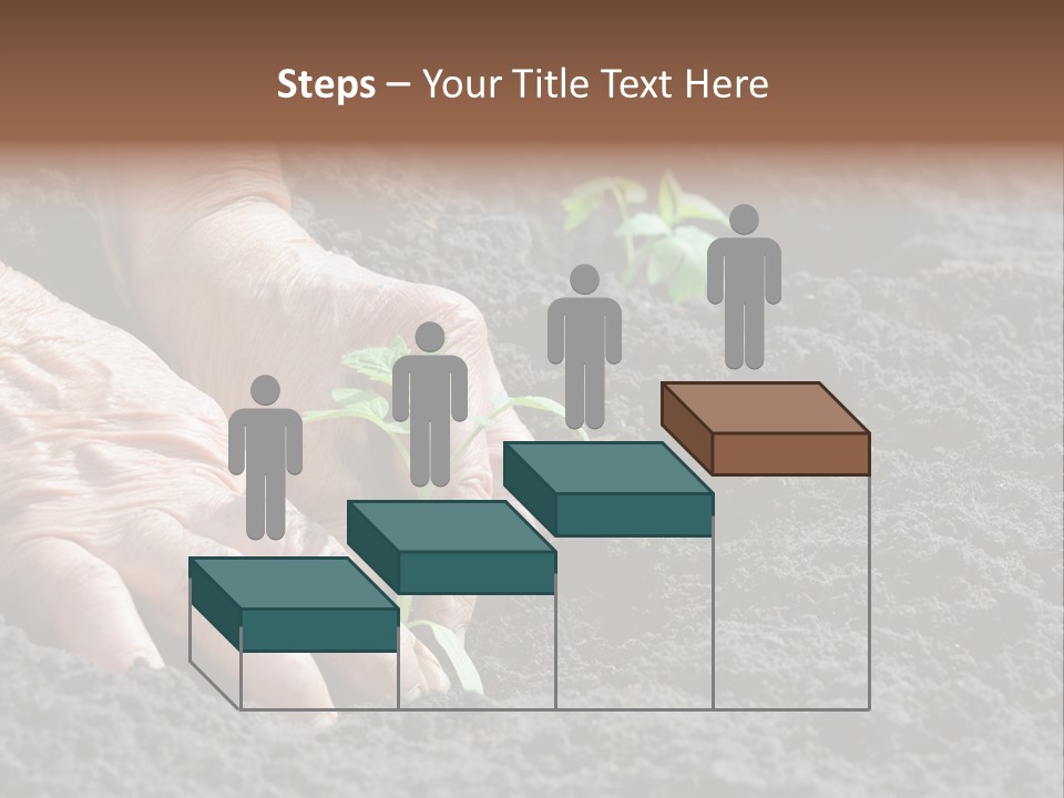 Skin Beginnings Nature PowerPoint Template