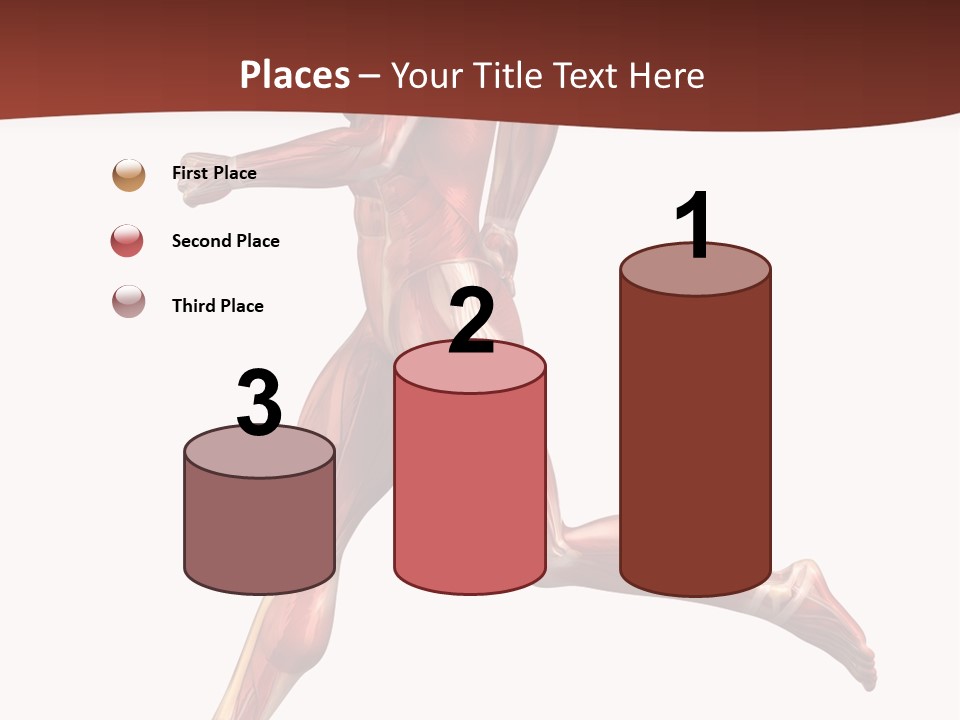 Extensor Carpi Radialis Brevis Calcaneal Achilles Tendon External Oblique PowerPoint Template