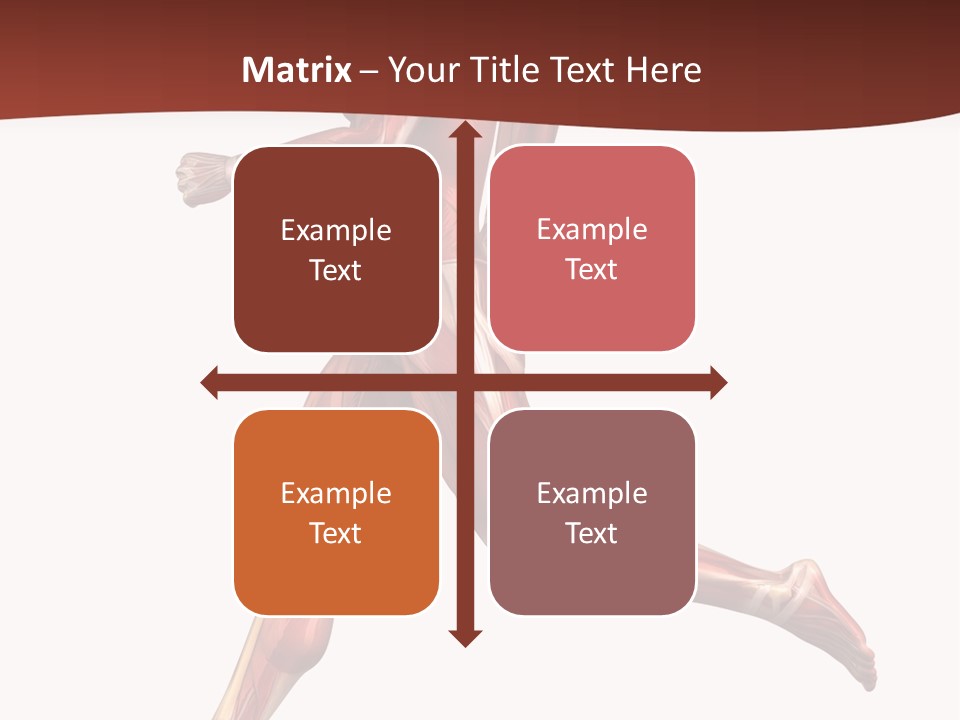 Extensor Carpi Radialis Brevis Calcaneal Achilles Tendon External Oblique PowerPoint Template