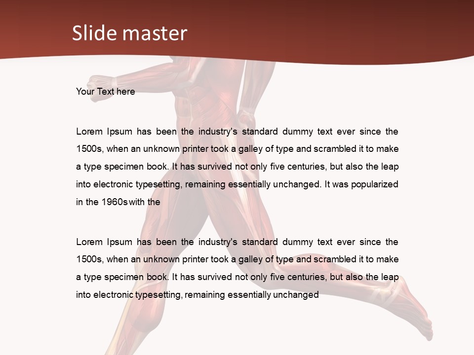 Extensor Carpi Radialis Brevis Calcaneal Achilles Tendon External Oblique PowerPoint Template