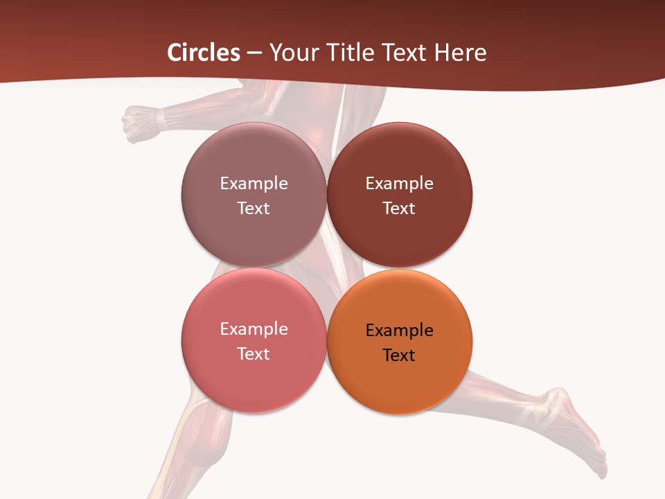 Extensor Carpi Radialis Brevis Calcaneal Achilles Tendon External Oblique PowerPoint Template