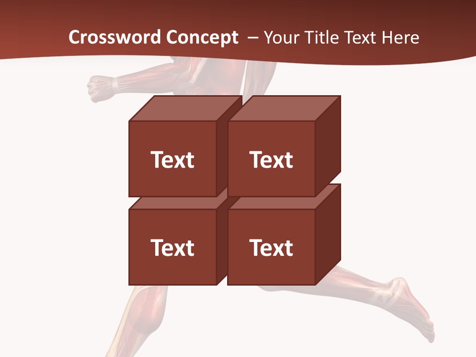 Extensor Carpi Radialis Brevis Calcaneal Achilles Tendon External Oblique PowerPoint Template